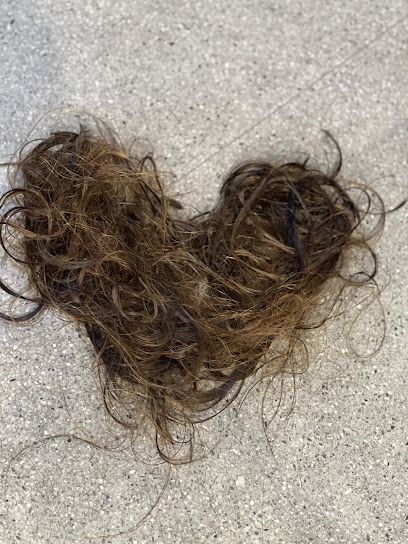 Antonio Calvo Estilistas