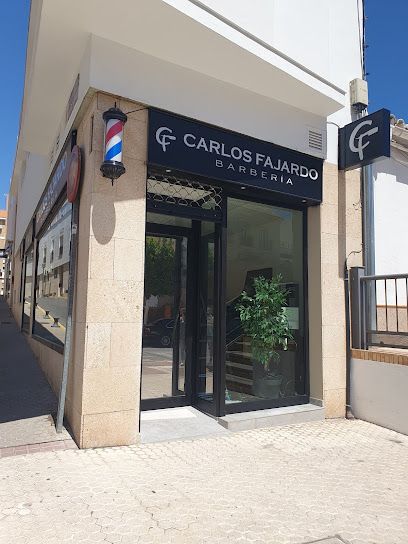 Carlos Fajardo Barberia