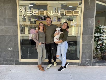 Peluquería Bernardo - Hairsalon