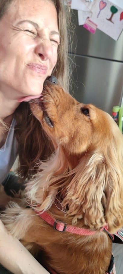 Nuestros Peludos - Peluquería Canina y Felina